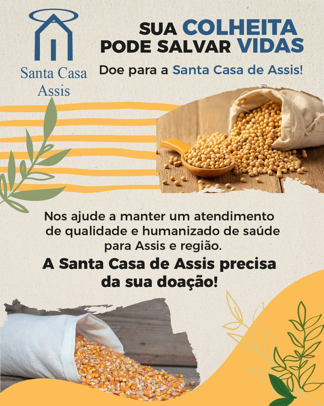 Sua colheita pode salvar vidas! Santa Casa de Assis destaca campanha de doação de grãos